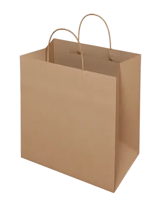 Brown Paper Bag - Takeaway Medium (120gsm)