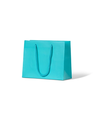 Aqua Matte Laminated Paper Bag - Medium